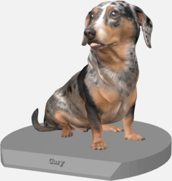 The sculpture preview of a dachshund you approve before anything is made