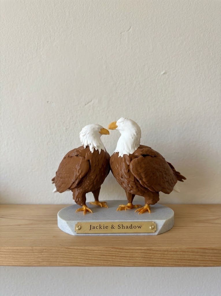 Two bald eagles, Jackie and Shadow, beak to beak on a stone-look base with a gold name plate, on a wooden shelf